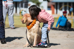 Dogs worshipped across Nepal, marking Kukur Tihar